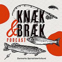 Knæk og Bræk