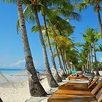 "พระคำแห่งแสงสว่าง" "ข่าวดีสำหรับทุกคน" "เสียง