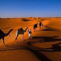 ====كلمات الحياة" ، "ترانيم الإنجيل" ، "الأخبار السارة" - باللغات الرئيس