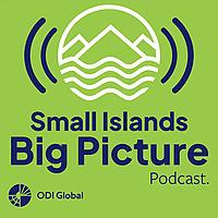 Small Islands Big Picture