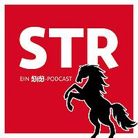 VfB STR