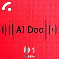 A1 Doc