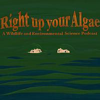 Right Up Your Algae