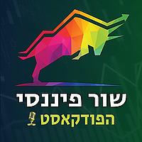 שור פיננסי