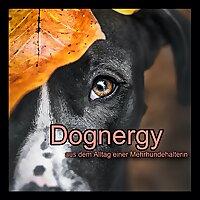 Dognergy - aus dem Alltag einer Mehrhundehalterin