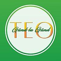 Gand la Gand cu Teo