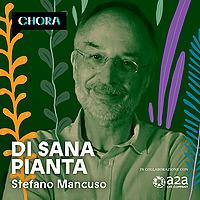Di sana pianta