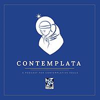 Contemplata