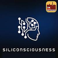 DSR's Siliconsciousness