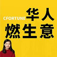 华人生意经