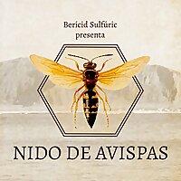 Nido de Avispas