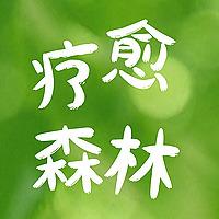 疗愈森林