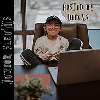 Junior Sleuths: Mysteries for Kids