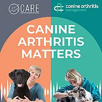 Canine Arthritis Matters