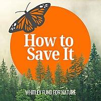 How to Save It