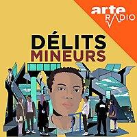 Délits mineurs : chroniques d'audiences