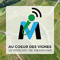 Au coeur des vignes, le podcast vin