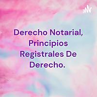 Derecho Notarial, Principios Registrales De Derecho.