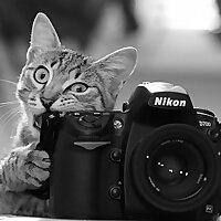 Fotografía para Principiantes