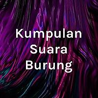Kumpulan Suara Burung Mp3