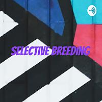 selective breeding : genetic engineering