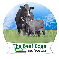 The Beef Edge