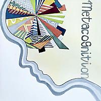 The Metacognition Channel