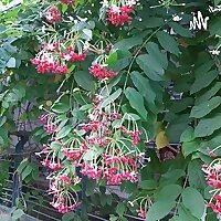 Suno Kahani (Hindi Stories)