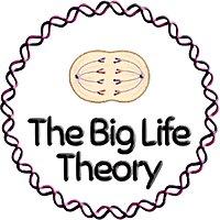 The Big Life Theory