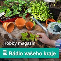 Hobby magazín