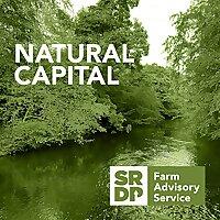 Natural Capital