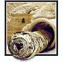 Preserving Bible Times