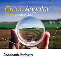 Grano Angular: Podcast de agroanálisis