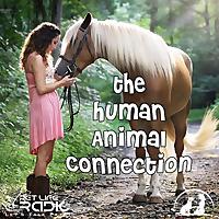 The Human-Animal Connection - Pet Life Radio Original