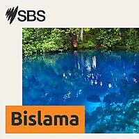 SBS Bislama