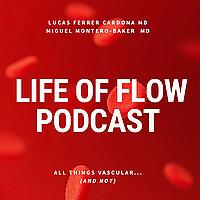 Life of Flow