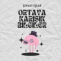 Ortaya Karışık Bilgiler