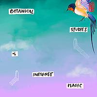 botanical studies of internet magic