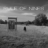Rule of Nines