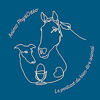 Animo PhysiOstéo : Le podcast du bien-être animal
