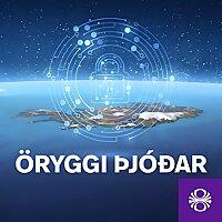 Öryggi þjóðar