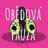 Obědová pauza