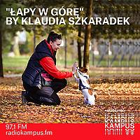 Łapy w górę