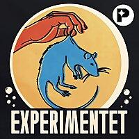 Experimentet