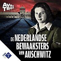 De Nederlandse bewaaksters van Auschwitz
