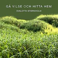Gå vilse och hitta hem
