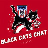 Black Cats Chat