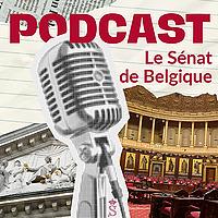 Vous avez dit “Sénat de Belgique” ?