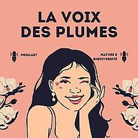 A la découverte des oiseaux de France