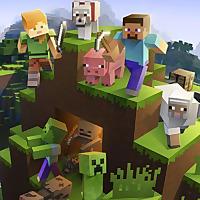 Minecraft Pro Block